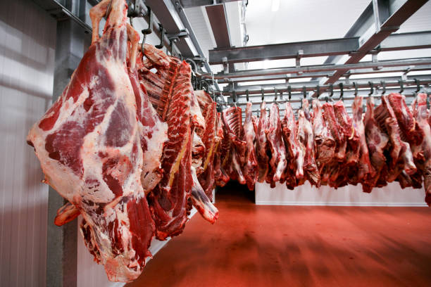Fresh Meat (Mutton, Beef, Chicken)